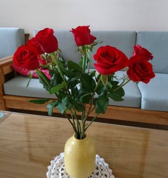 8 Red Roses Without Vase